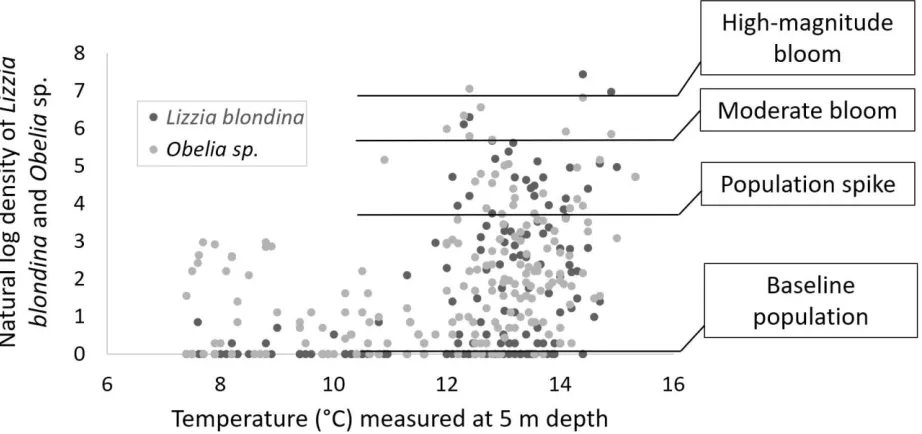 Fig. 10 Natural log of hydromedusan population density measured at sea surface temperature as measured at 5 m depth, with population magnitudes demarcated