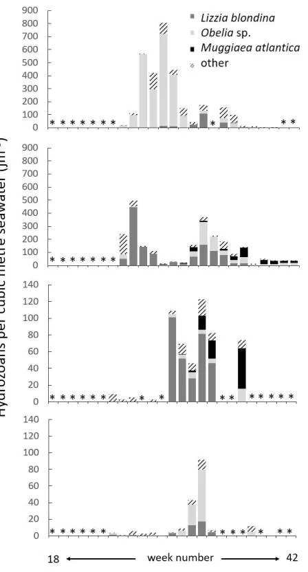 Fig. 5 Time-series 2012 hydromedusa populations (jm-3 per date), aligned by sampling date, spanning weeks 18-42 (30 April-15 October)