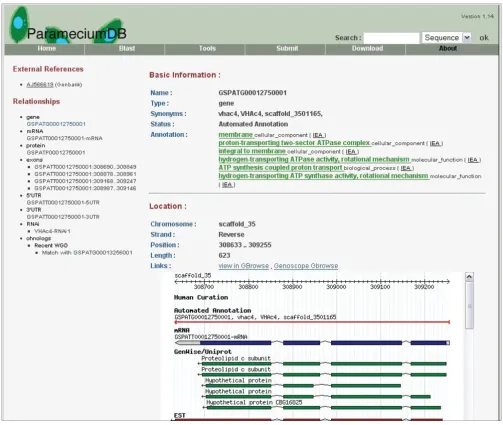 Figure 3GMODWeb-built ParameciumDB website