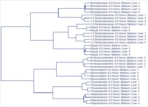 Figure 1Hierarchical clustering of animals in the medium dose/6 hour group using SVM-derived classifiers