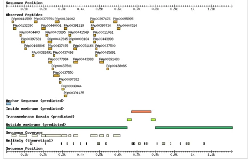 Figure 2Peptide identification and distribution of mouse EGFR
