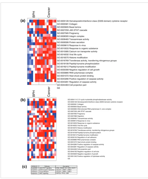 Figure 6Functional annotation of the cancer stem cell expression signature