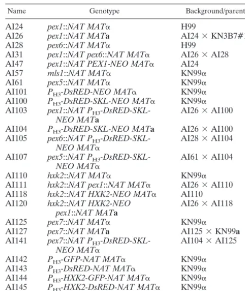 TABLE 1. C. neoformans strains used in this study
