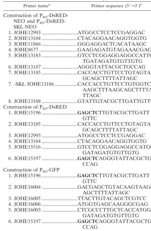 TABLE 3. Oligonucleotide primers for overlap PCR to makeDsRed or GFP constructs or plasmids