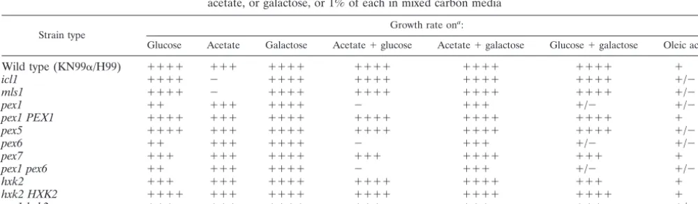 FIG. 4. The PEX1mansminimal media with glucose as an additional carbon source, but is notrequired for growth on acetate