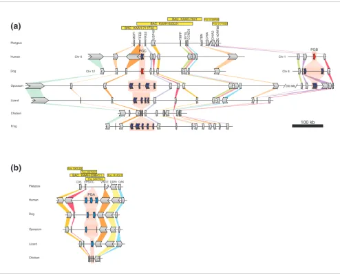 Figure 2Deletion of pepsinogen-coding genes in the platypus genome