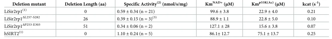 Table 2. NAD+-dependent deacetylase activity of recombinant LiSIR2rp1 protein with directed internal deletions within the β8-β9 connector.