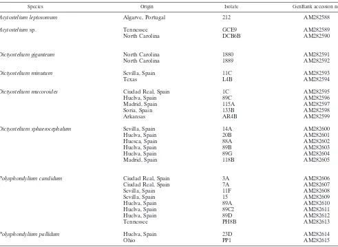 TABLE 1. Geographic origins of dictyostelid isolates and GenBank accession numbers of the nucleotide sequences