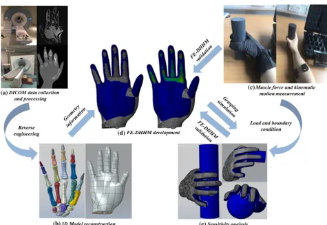 FIGURE 1.Main procedure of this study. (a) DICOM data collected from a speciﬁc subject