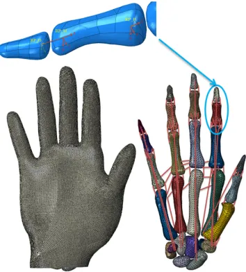 FIGURE 3.Kinematic motion deﬁnition and anatomical view of the FE hand model. The red lines represent ligaments andtendons