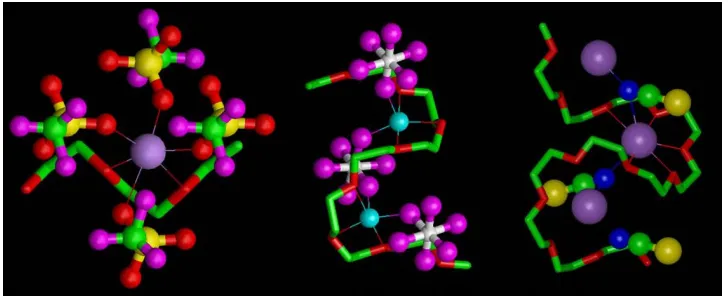 Figure 15.4. Fragments of the structures of (from left to right) PEO::NaCF3SO3,13 PEO3::LiAsF6,14PEO4::KSCN15 showing cation coordination