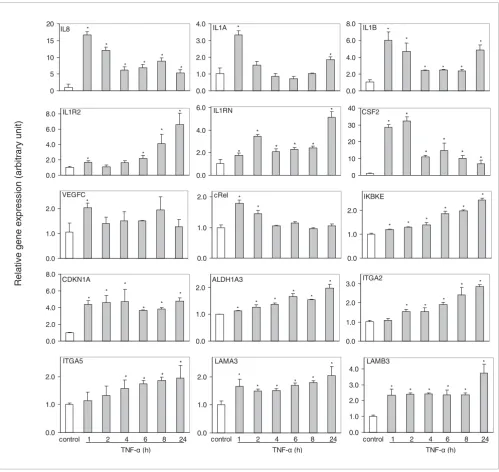 Figure 5Basal and inducible expression of NF-κB target genes modulated by TNF-ακα