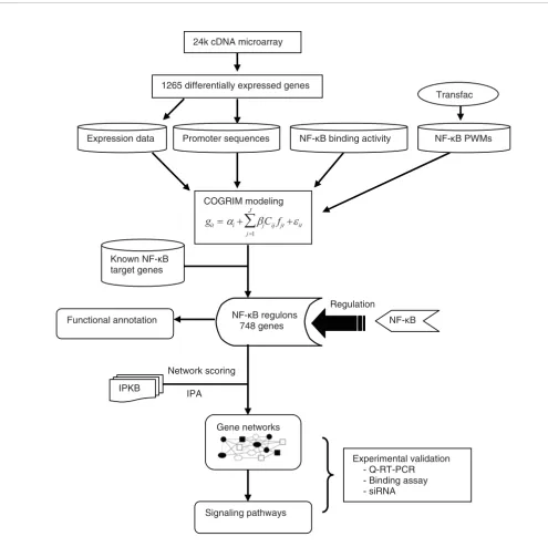 Figure 1A schematic diagram of computational, analytic and experimental strategies