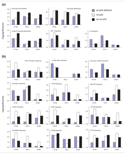 Figure 4 (see legend on next page)