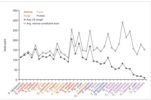 Figure 4Average lengths of CEs compared to average lengths of internal constitutive exons