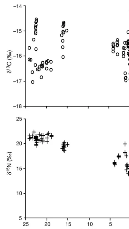 Table 1. Physeter macrocephalus. ANOVA table for the δ13C and 15N values measured in South Pacific sperm whale skin samples