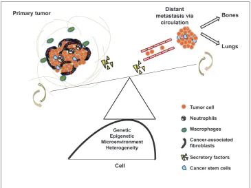 FIGURE 1. The cancerous transformation of any cell depends on breaking the tight regulatory network and acquiring capabilities and compatible microenvironment that facilitate the progression of oncogenic transformations and metastatic potential.