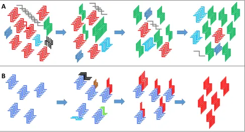 Figure 2. variants made up of a dominant conformer (the example given replication environment or an environmental pressure can then select for a minor variant within the “cloud” to become the dominant type over time (the example of a new dominant PrPPrPdue