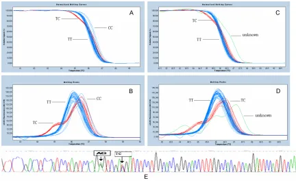 Figure 1. Melting curves of VKORC genotyping by HRM. Melting curves for three different genotypes of VKORC1rs9934438, shown in (A) and (B)single-peak at 86.7senting heterozygote of TC