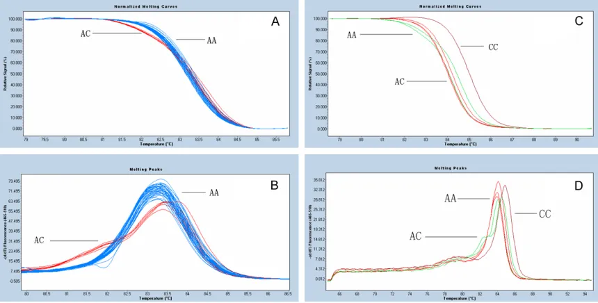 Figure 2. Melting curves of CYP2C9 genotyping by HRM. Melting curves for two different genotypes of CYP2C9 of CYP2C9 in 255 Chinese patients, but a confirm CC genotype sample was got to prove this HRM methods can difrs1057910, shown in (A) and (B); profile
