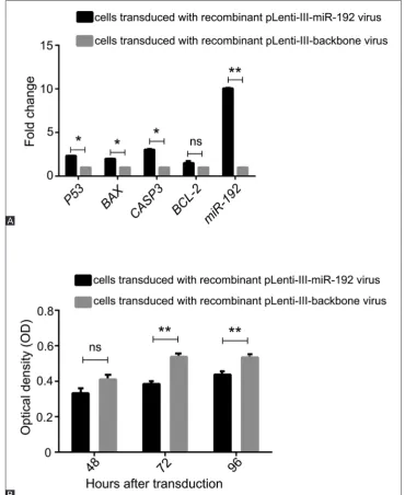 FIGURE 1. Expression analysis of P53, BAX, CASP3, BCL-2, and microRNA-192 (miR-192) in NALM-6 cells transduced with recombi-nant pLenti-III-miR-192 virus versus cells transduced with recombinant pLenti-III-backbone virus (transduced control cells)