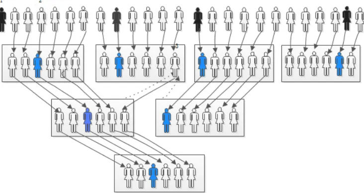 Figure 1. Figure 1. PHNIX’s talent recognition process (note: Black represents the leader, blue represents the GMof the team, white represents the staPHNIX’s talent recognition process (note: Black represents the leader, blue represents the GM of the team,