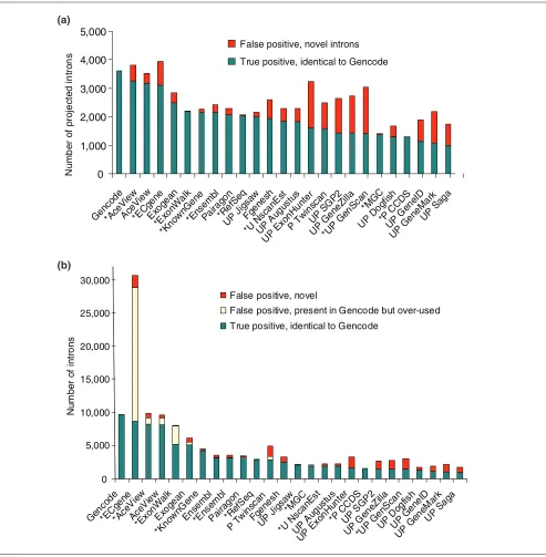 Figure 1Comparison of introns between the Gencode reference and the 24 tracks, ordered by decreasing sensitivity, over the 31 test regions
