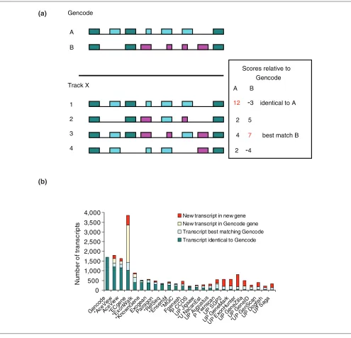Figure 2Comparison of whole transcripts. intron signatures. The number of transcripts identical to Gencode, best-matching but different from Gencode, new transcripts in Gencode genes and(a) Strategy for selecting the best one to one matching pairs