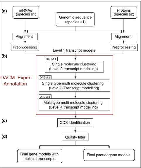 Figure 1Overview of the Exogean methodology. Exogean annotations are basedprocessed to remove artifacts using heuristics