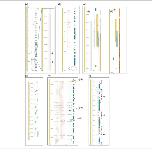 Figure 4Comparison of GENCODE annotation with automated gene prediction methods. Viewed in Fmap of Acedb