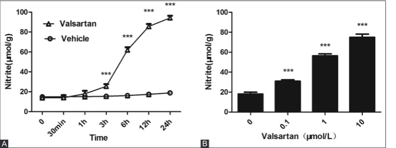 FIGURE 2. Effects of valsartan (10 µmol/L) on Akt, adenosine monophosphate-activated protein kinase (AMPK) and endothelial nitric oxide synthase (eNOS) phosphorylation and expression in human umbilical vein endothelial cells
