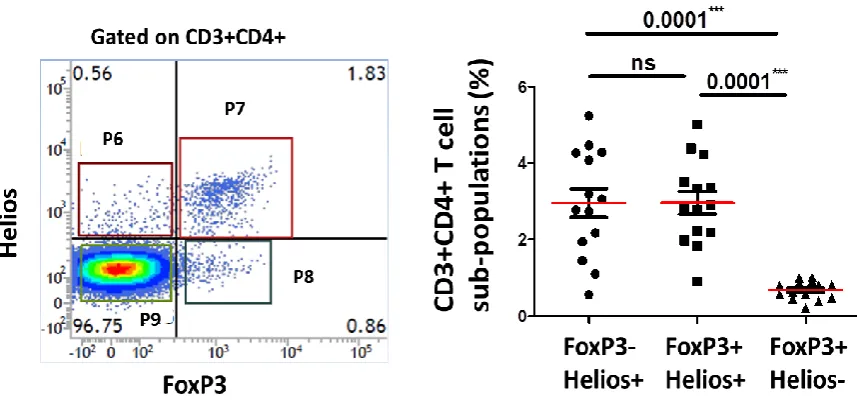 Figure 25: Expression of CD3 and CD4 on different FoxP3+/-Helios+/- non-