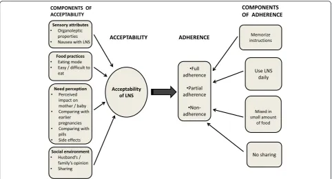 Fig. 1 Concept map of adherence and acceptability