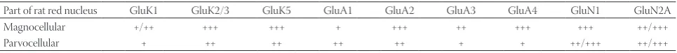 TABLE 1. Localization and numerical density of neurons expressing ionotropic glutamate receptor subunits in the rat red nucleus