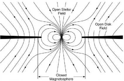 Figure 1.1: An idealised model of the magnetic ﬁeld structure of a classical T