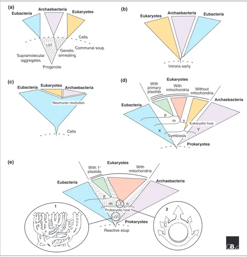 Figure 1Five different current views of the general shape of microbial evolution. ancestor of eukaryotes originated by the endosymbiosis of one prokaryote (X) in another prokaryote host (Y), giving rise to nucleated (n) eukaryoticcells