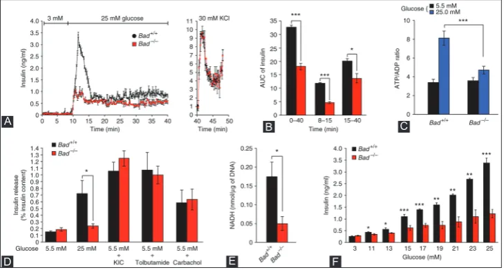 FIGURE 8. Characterization of the insulin secretion defect in Badfirst phase (min 8-15) and second phase (min 15-40)