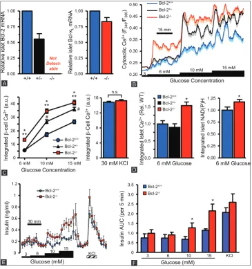 FIGURE 9. Loss of Bcl-2 enhances β-cell glucose responses. (A) Quantitative PCR quantification of Bcl-2 and Bcl-xL mRNA levels in Bcl-2islets from Bcl-2+/-cytosolic Ca2+ responses of Bcl-2rescence increases of intact islet cells, normalized Bcl-2and Bcl-2 