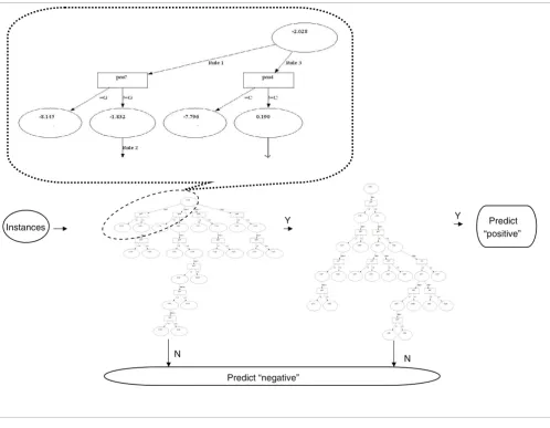 Figure 1A BoCaTFBS classifier trained over NF-κB ChIP-chip experimental dataκ