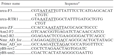 TABLE 1. Oligonucleotides used in this study