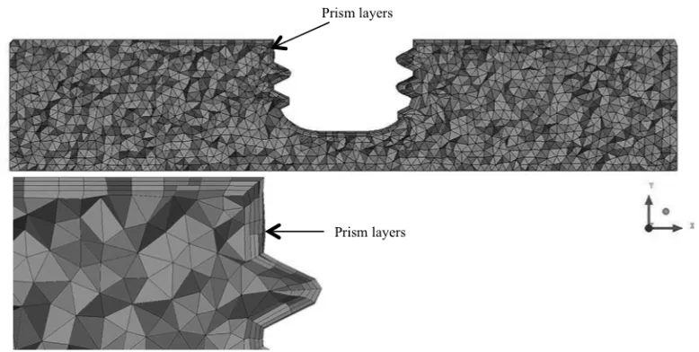 Figure 4: Mesh detail with prism layers at the tool surface 