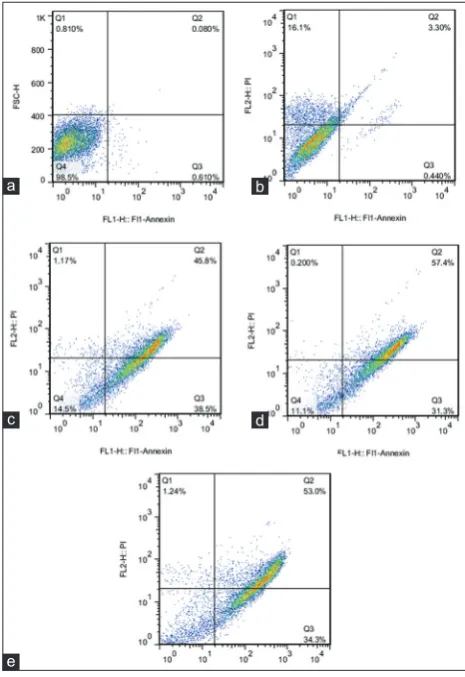 FIGURE 4. Gene expression patterns of Six1 and P53 gene in MCF-7 and MCF-7/Pac 64 nM cells