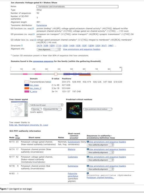 Figure 1 (see legend on next page)