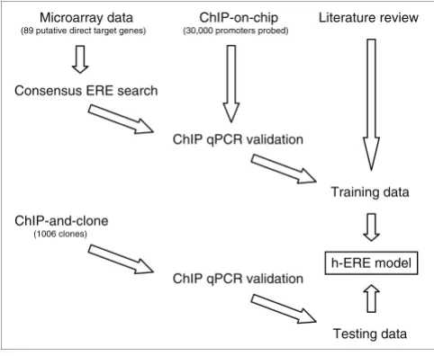 Figure 1Schematics of ERE discovery and validation for model training and testing