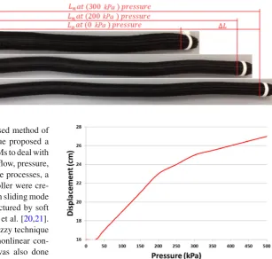 Fig. 2 The extensor muscle
