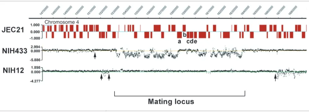 Figure 3Sequence divergence and putative recombination sites at the MAT locus in serotype D strains