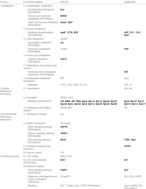 Table 1 Functional categorization of Daphnia magna genes responding to acute ibuprofen exposure