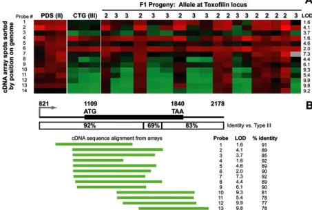 FIG. 2. Microarray analysis of strain-speciﬁc differences at the toxoﬁlinbradyzoite microarray derived from a type II strain