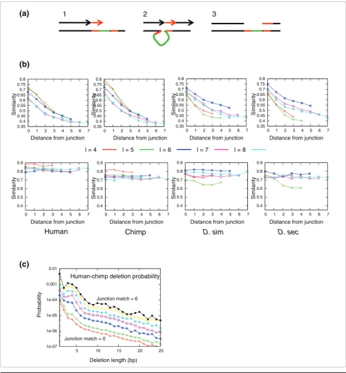 Figure 4Short matches define the limits of a deletion(bottom) to 6 (top). The rates are normalized by the background genomic frequency of identical sequences of length s spaced by l bps