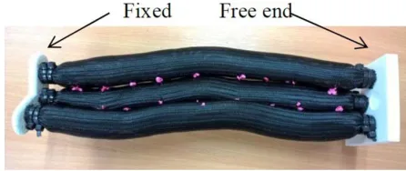 Figure 18. Four 30 cm extensor PMAs continuum arm.